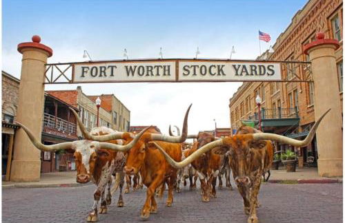 Modern Executive 1BR King Bed - Walk to West 7th - Foto 35