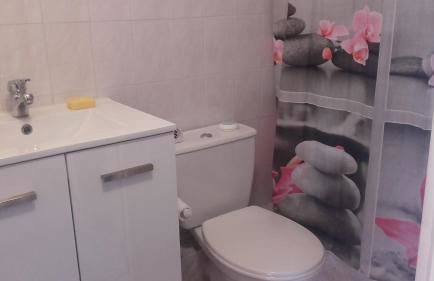 L'oiseau bleu - Foto 26