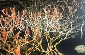 Gîte du gué - Foto 20