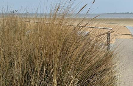 Das Garden House - Hohensee Erdgeschoss - Foto 12