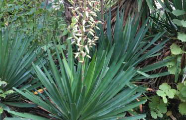 Charming independent guest house - spacious studio with terrace and garden, 25 minutes from Paris - Foto 14