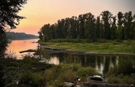 Blue Heron Sanctuary & Serene, river-front cottage - Foto 62