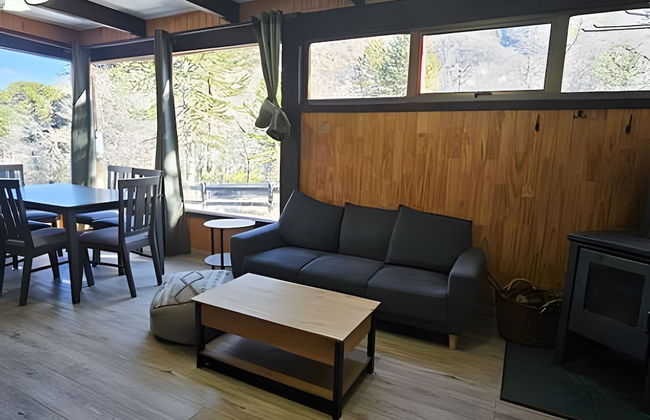 Oceana Suites Corralco - Photo 17