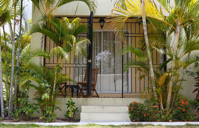 New Kingston Guest Apartment VII - Foto 14