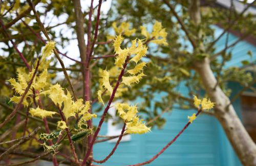 The Moorings, overlooking Loch Fyne - Foto 34