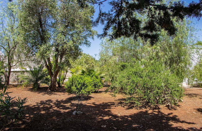 3598 Trullo Yoram by Perle di Puglia - Foto 37