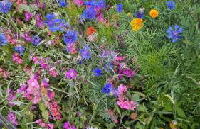 FamilyandBike - Foto 9