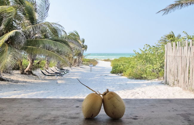 Arena y Mar Beachfront House, El Cuyo by The Spot Rentals - Foto 43