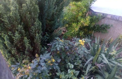 Kuća za odmor Mažuran - Foto 66