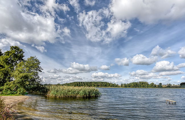 Skarlinówka - Foto 42