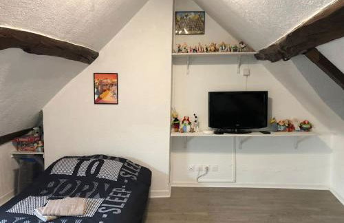 La Maison Gauloise - Asterix CDG Paris - Foto 30