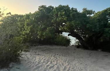 Casa da Lagoa near Barrinha - Foto 34