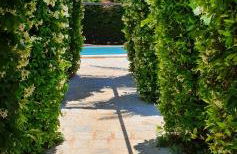 Masseria Cesarina B&B - Foto 47