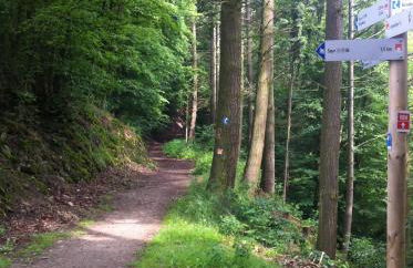 Ferienwohnung Sayn bei Koblenz - Foto 28