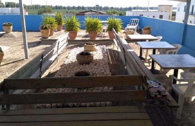 Gecko's House - Foto 20