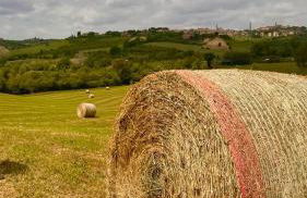 Agriturismo La Corte del Sole - Foto 151