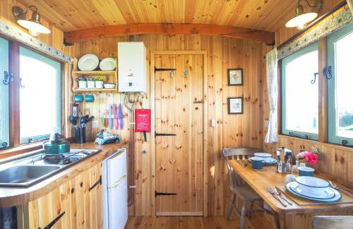 Trenewydd Farm Holiday Cottages - Foto 15