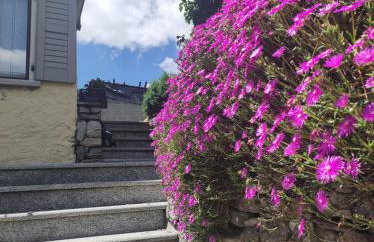 Casa Pierina - Foto 27