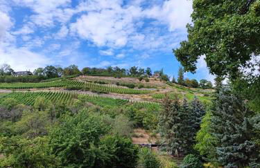 Weinberghaus - Wohnen im Weinberg in der Toskana des Nordens - Foto 52