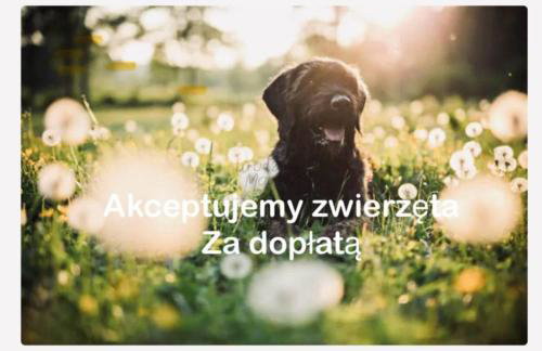 Noclegi DobraNocka - Foto 27