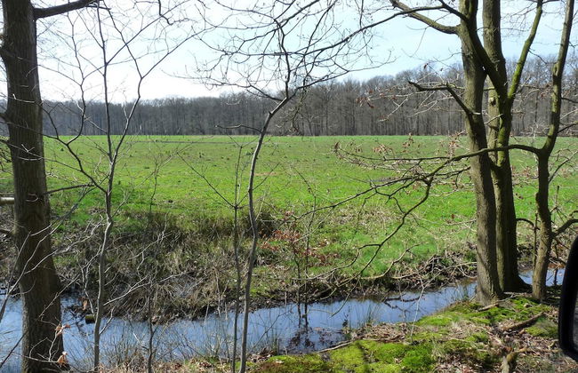 Cozy Holiday Home in Aalter near Lake - Photo 35