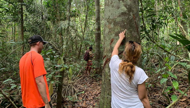 Descubriendo el Amazonas