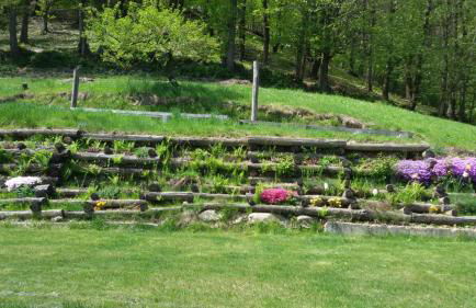 Il Sogno Della Vita AgriResort - Country Rooms & Suites - Foto 17