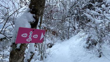 Chalet Soleya - Photo 5