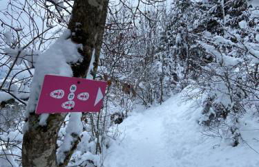 Chalet Soleya - Photo 5