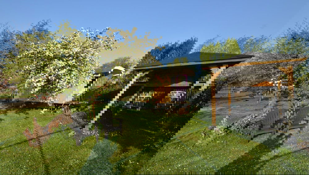 Gypsy Caravan in Weideblick With Farm Animals - Foto 1, Profilbild