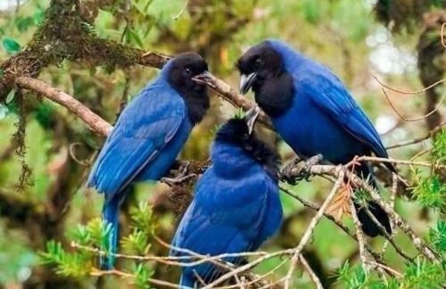 Studio Super Luxo Laje de Pedra MV (3019) - Foto 23