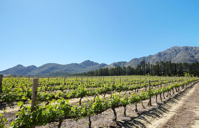 La Cotte Forest Cottages - Foto 32