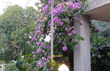 Apartment Marta - free parking! - Photo 47