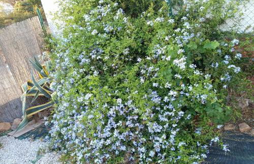 Villa Rosa Amparo - Foto 57