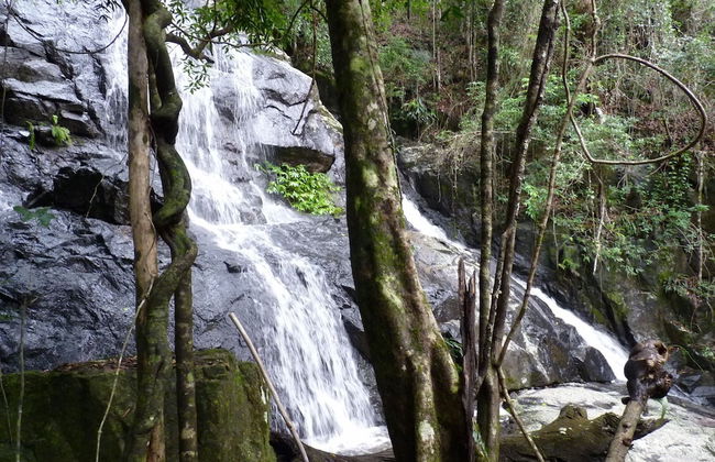 Bellthorpe Stays - Foto 65