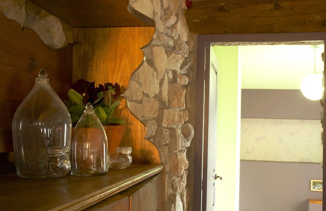 Ca n'Aleix - Photo 56