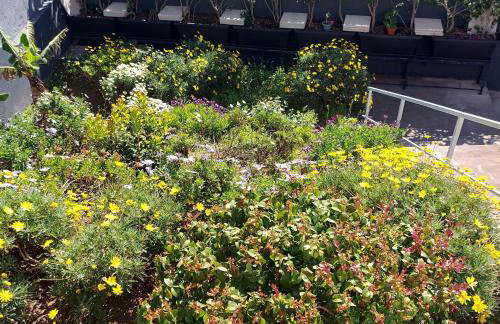 Maria's House - Foto 28