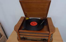 Przy pałacu - Foto 18