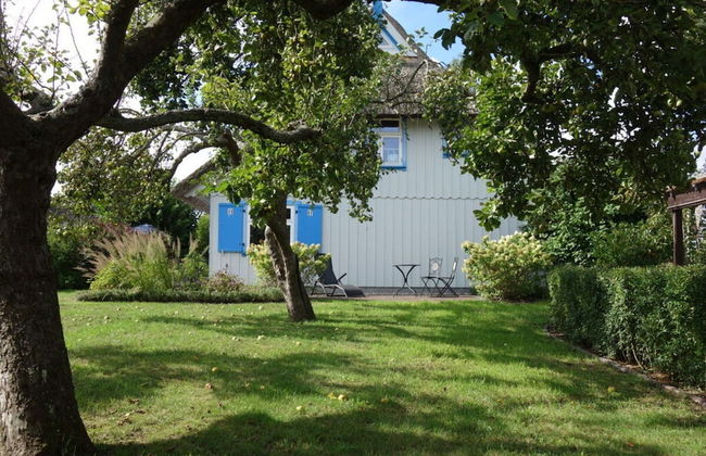 Captain House South Cats 8 - Photo 17