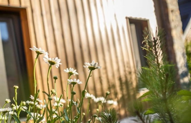 Velk Karlovice Mvh028 - Foto 31