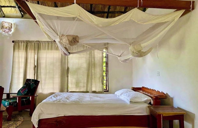 Njobvu Safari - Foto 18