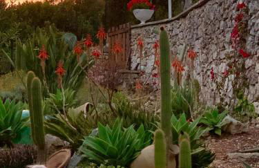 Villa Valeria - Foto 21