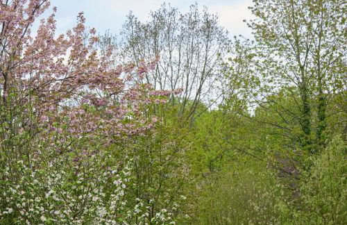 Ferienwohnung in historischer Mühle - Foto 38