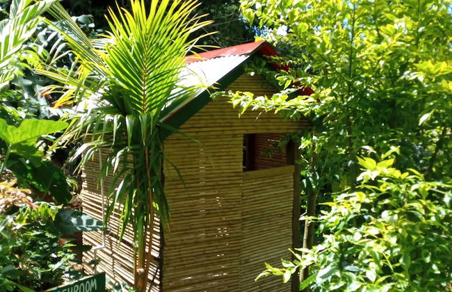 Berkey's Jungle Paradise - Photo 37