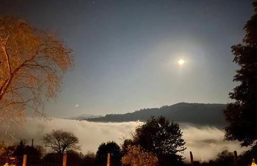 LA QUINTA DE PUELLES - Foto 10