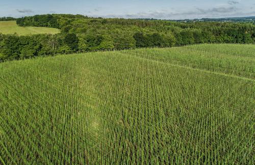 The Challoners - Photo 34