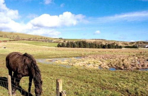 Borthwick Castle View - Foto 20