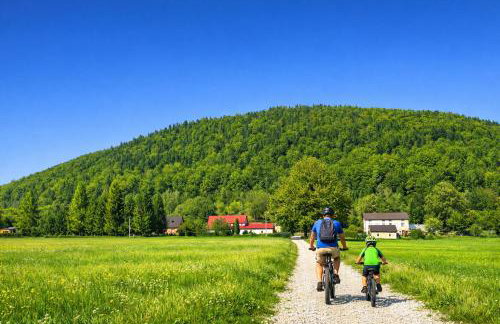 Willa Sowia nowy apartament z prywatnym tarasem i widokiem na góry - Foto 18