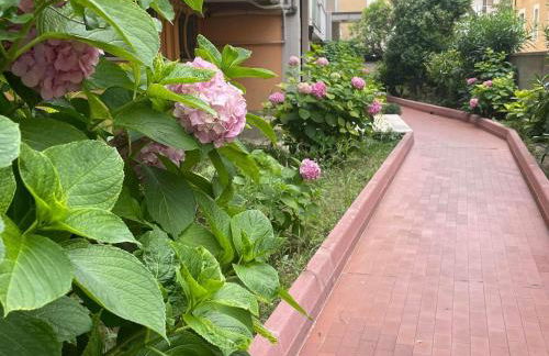 Le Ortensie in centro e vicino al mare - Foto 35