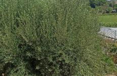 La nostra casetta - Foto 8